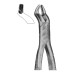 Extracting Forceps Fig-53 R