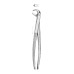 Extracting Forceps Fig-160 Extracting Forceps Fig-160