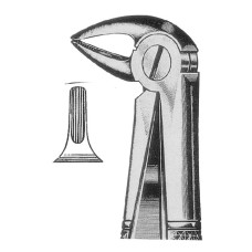 Extracting Forceps Fig-33C