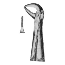 Extracting Forceps Fig-74N