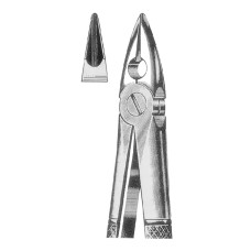 Extracting Forceps Fig-MD1