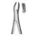 Extracting Forceps Roba Fig-17 Extracting Forceps Roba Fig-17