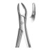 Extracting Forceps Roba Fig-151 Extracting Forceps Roba Fig-151